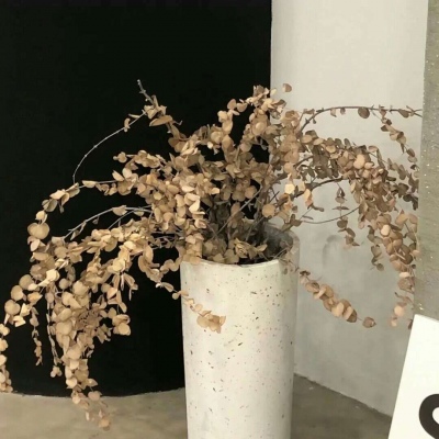 Furry黑白线稿绘画教程FurryQQ群